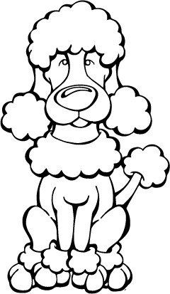 240x413 The Best Poodle Drawing Ideas On Pin Up Pictures