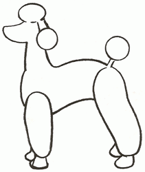 211x250 Exam Guide Online