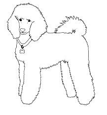 217x232 How To Draw A Poodle Fun Drawing Lessons For Kids Amp Adults Je