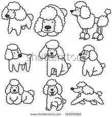 220x229 Image Result For Poodle Drawing Poodles Search