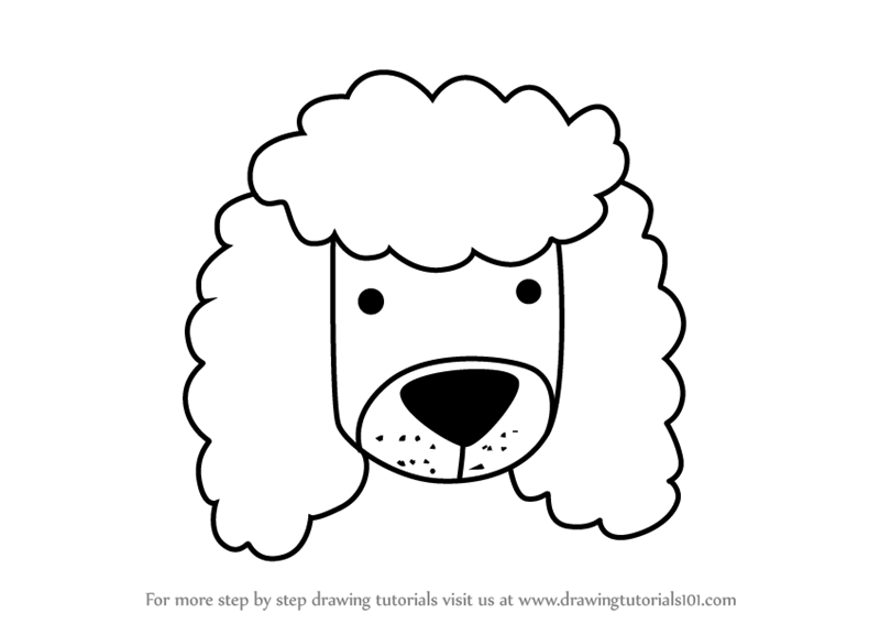 800x567 Learn How To Draw A Poodle Dog Face Kids (Animal Faces
