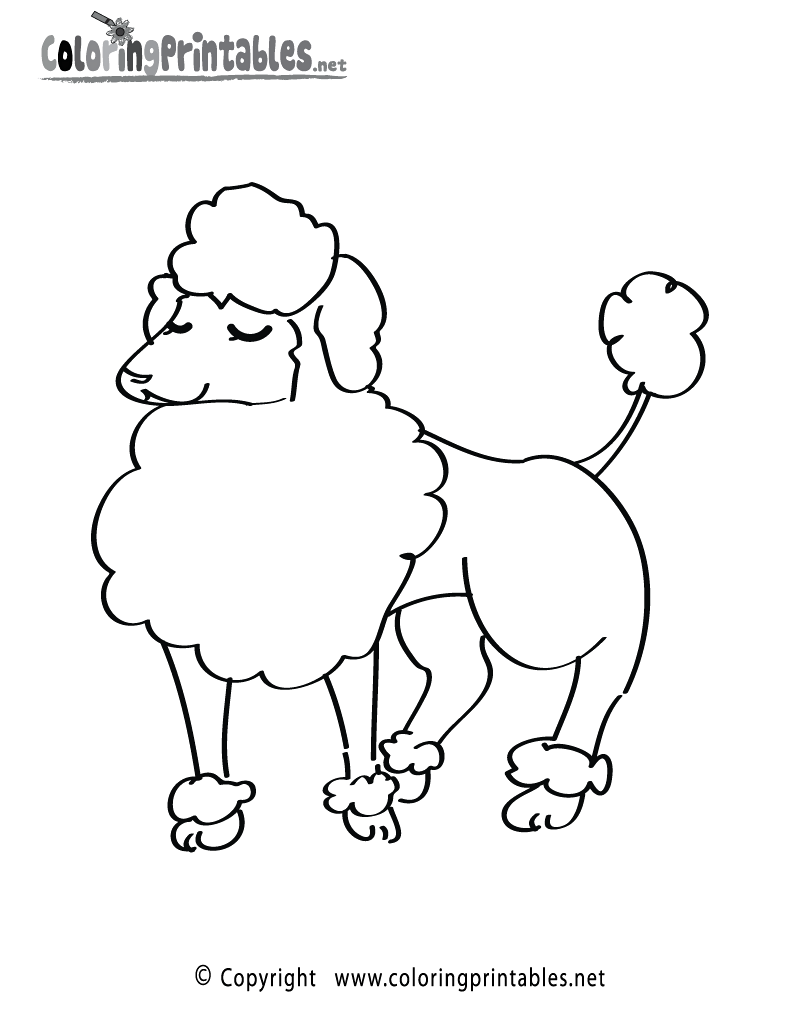 800x1035 Poodle Coloring Page A Free Animal Printable At Pages