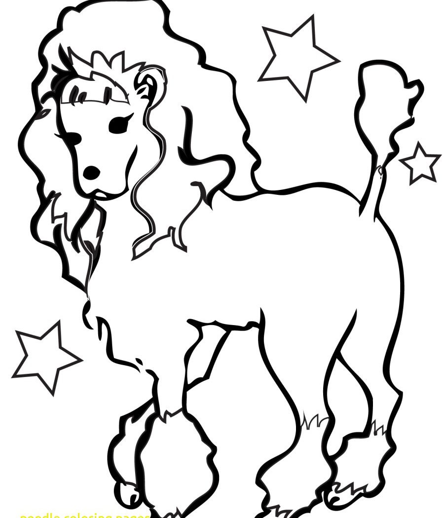 900x1050 Poodle Coloring Page Cartoon Free Printout Dog Pages Printable