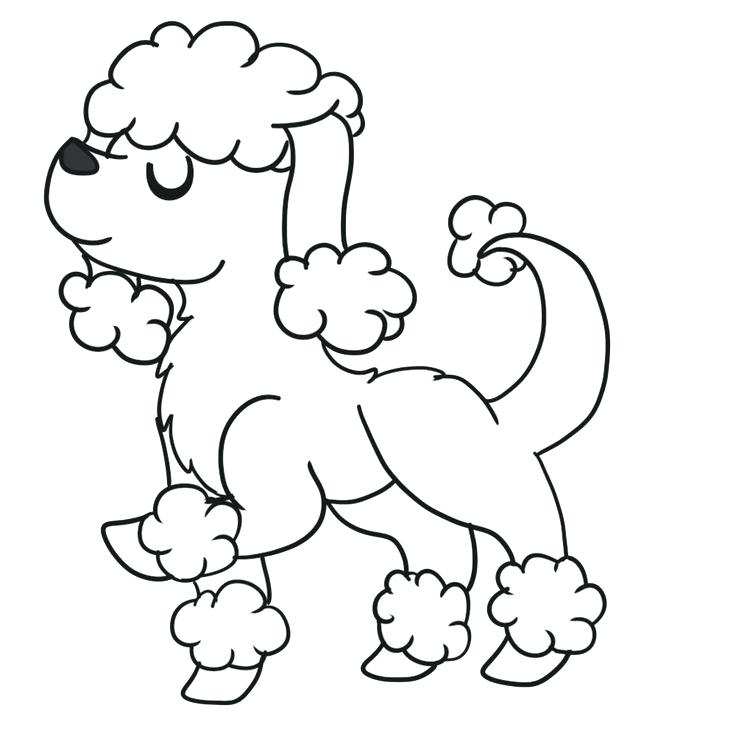 736x736 Poodle Coloring Page Poodle Coloring Pages Sketch Coloring Page