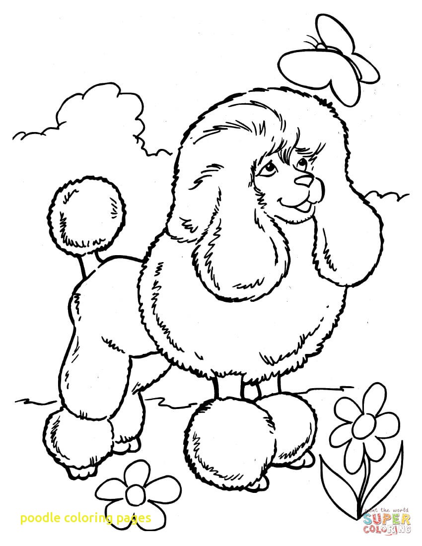 850x1100 Poodle Coloring Pages With Poodle Coloring Page