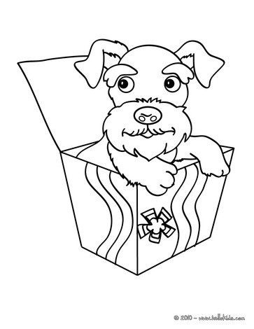 363x470 Poodle Coloring Pages