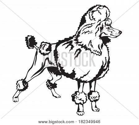 450x405 Decorative Dog Poodle Black White Vector Amp Photo Bigstock