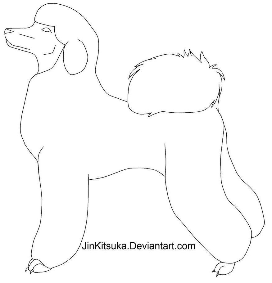 876x912 Poodle Line Art By Jinkitsuka