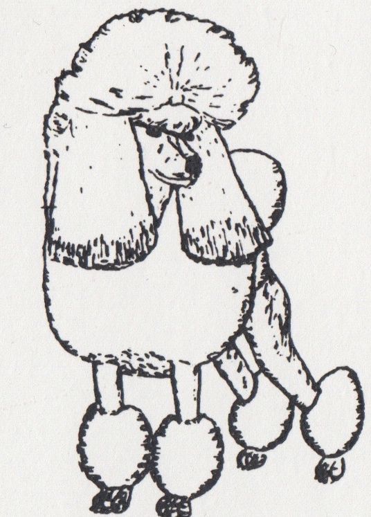 536x747 Puppies Mrang Poodles