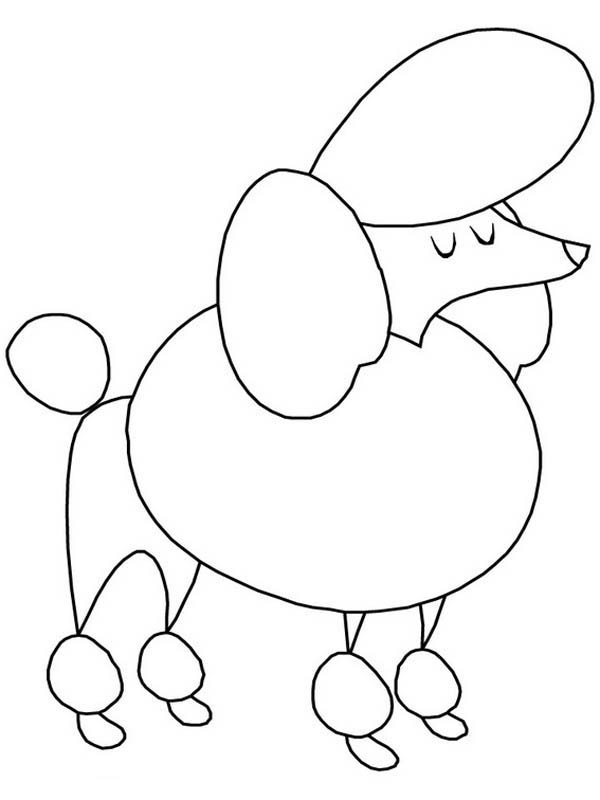 600x800 Drawn Poodle Simple