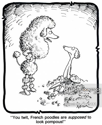 400x493 Poodle Cartoons And Comics