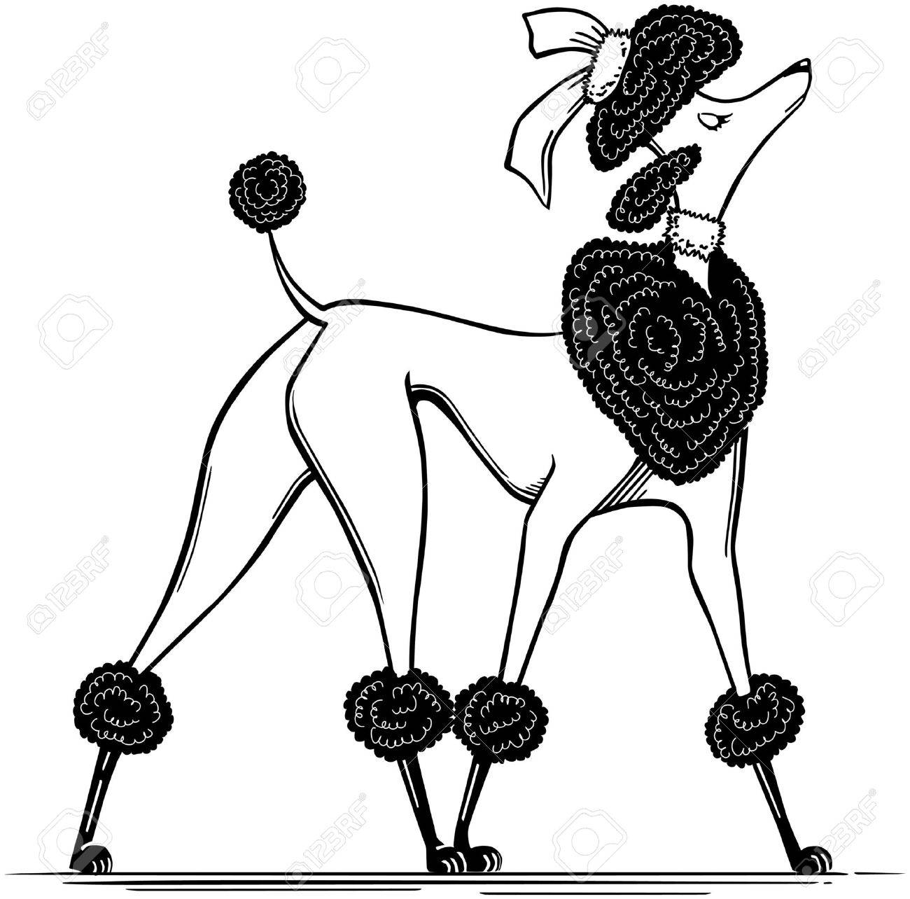 1300x1284 Ritzy Poodle Royalty Free Cliparts, Vectors, And Stock