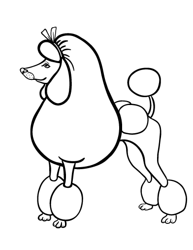 392x507 Standard Poodles