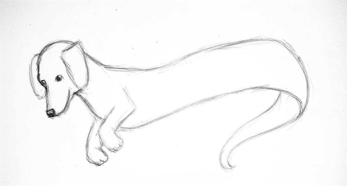 1200x645 Aerrae On Twitter Today's Drawing For Mermay. A Merdog Inspired