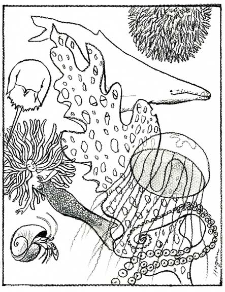 443x576 Jamiepeeps Pools And Schools