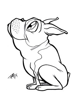 243x300 Poop Drawings Fine Art America