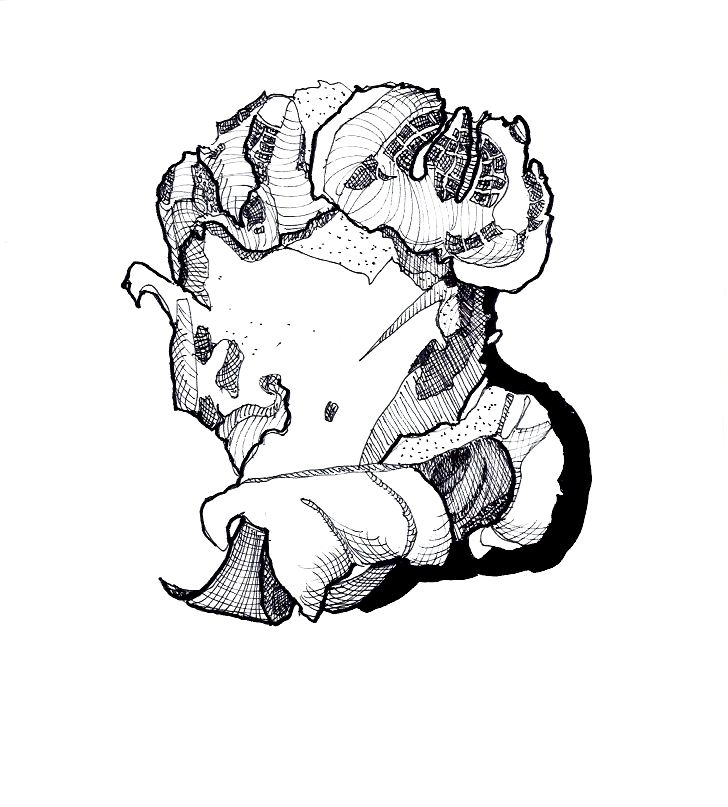 728x807 Joseph Jones Art