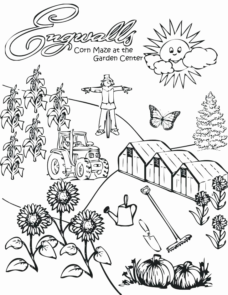 728x942 12 Best Of Of Sun Coloring Page Image