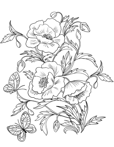 371x480 Blossom Poppies Coloring Page Free Printable Coloring Pages