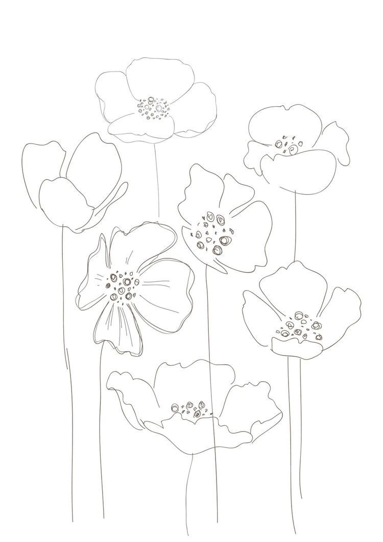 750x1061 Poppies, Would Make A Interesting String Print Drawing