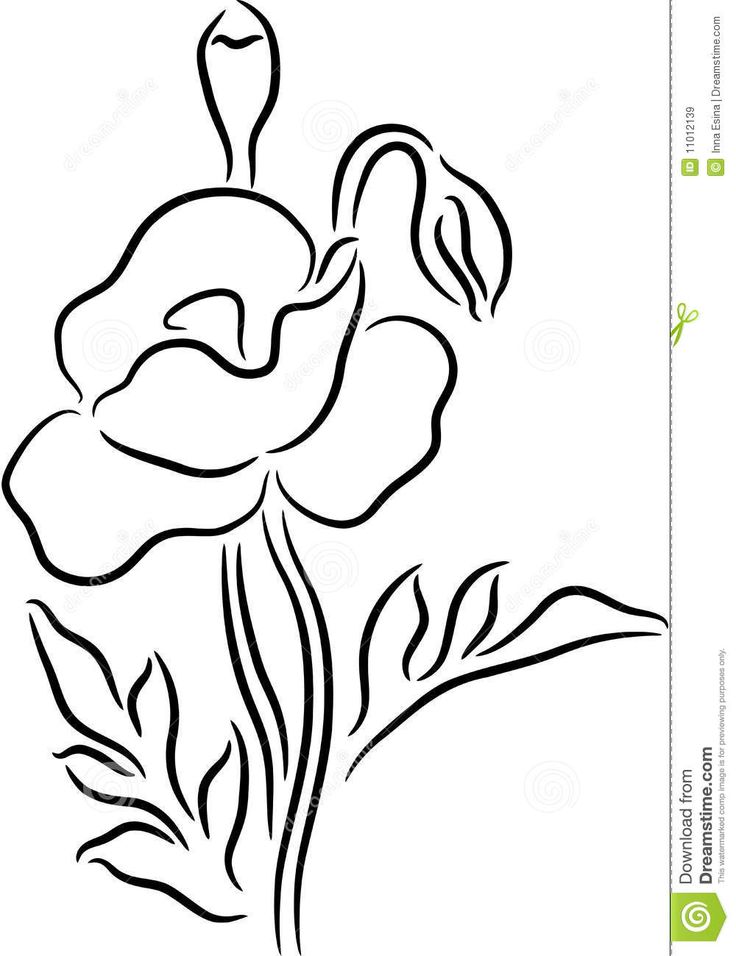 736x956 The Best Poppy Drawing Ideas On Poppies, Poppies