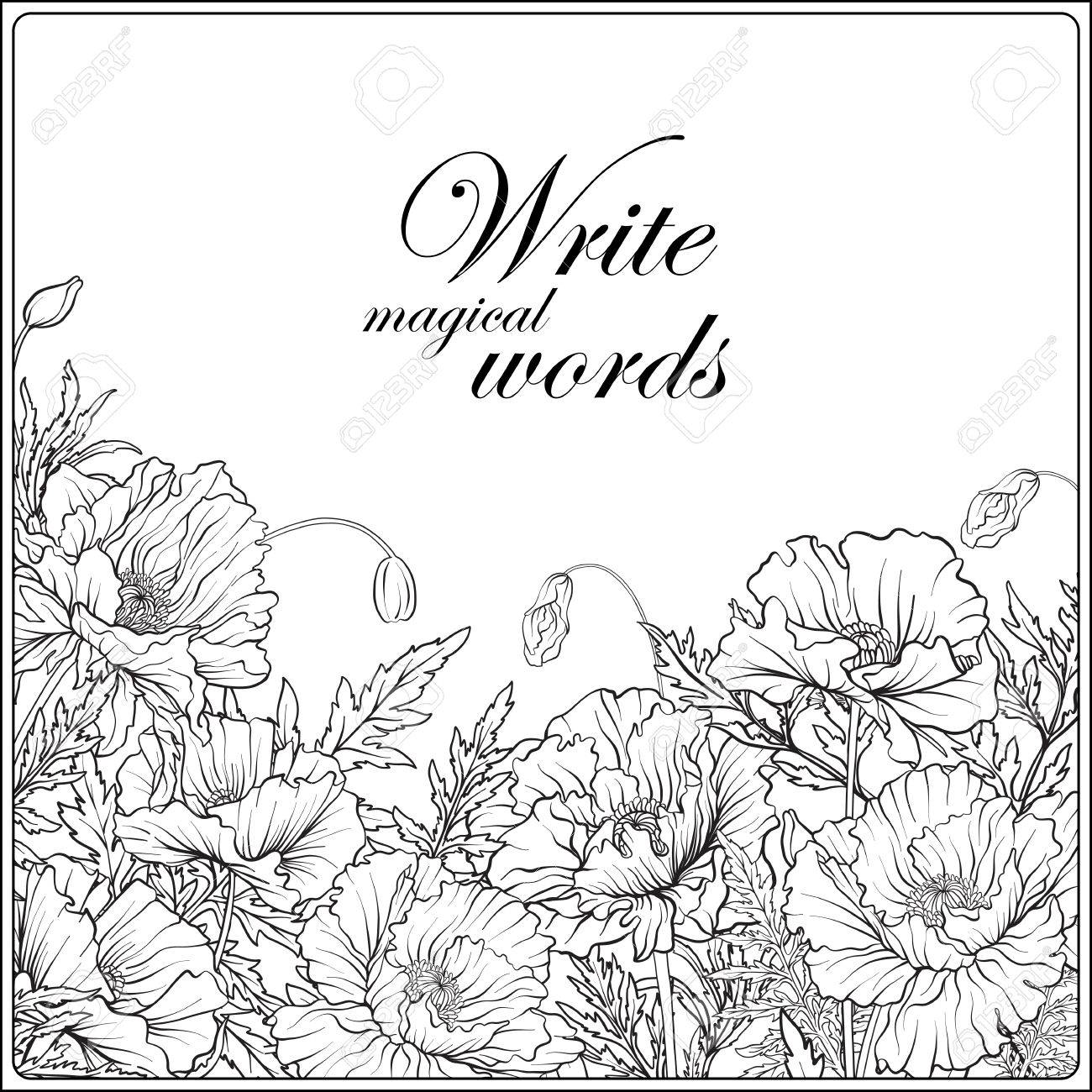 1300x1300 Card With Poppies Outline Hand Drawing Coloring Page For Adult C