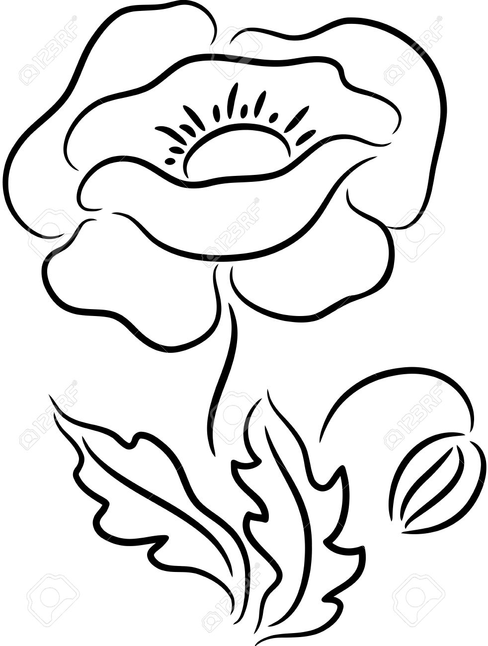 982x1300 Drawing Of Poppy Flower Line Poppies Vector Set Stock Vector