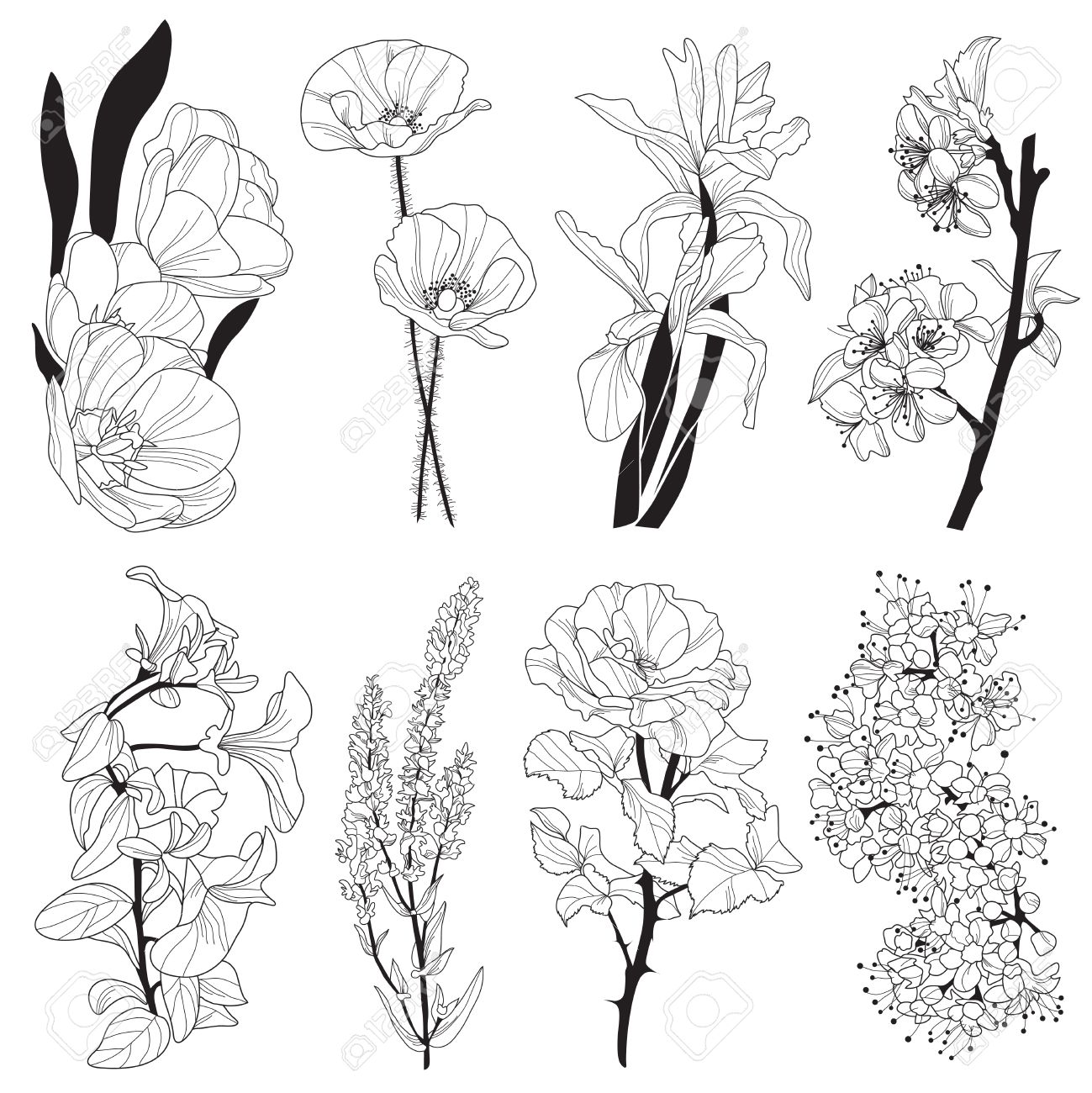 1299x1300 Set Of Hand Drawn Decorative Flowers Tulip, Iris, Poppy, Cherry