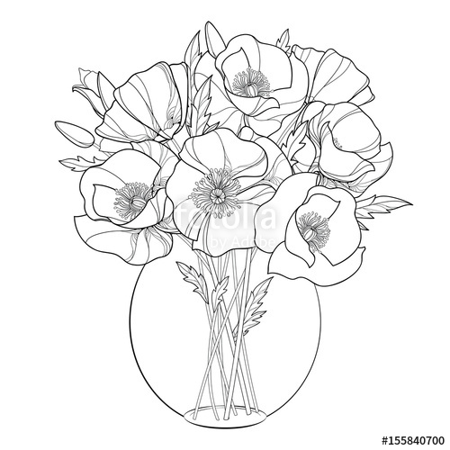 500x500 Vector Bouquet With Outline Poppy Flower In The Round Transparent