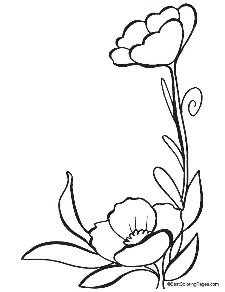 720x936 Poppy Coloring Page