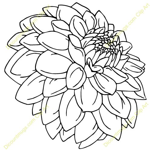 500x500 Line Drawing Dahlia Found On Flower Line