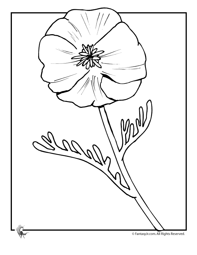 680x880 Flower Page Printable Coloring Sheets Fantasy Jr. Poppy Flower