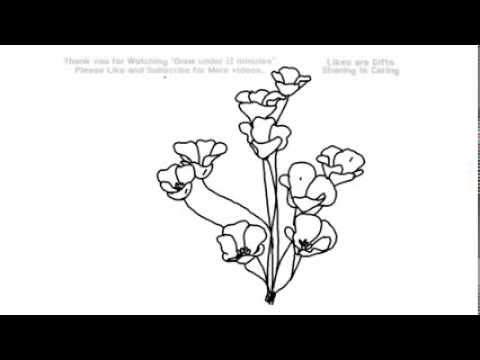 480x360 How To Draw Poppy Flowers Under 2 Minutes Yzarts Yzarts