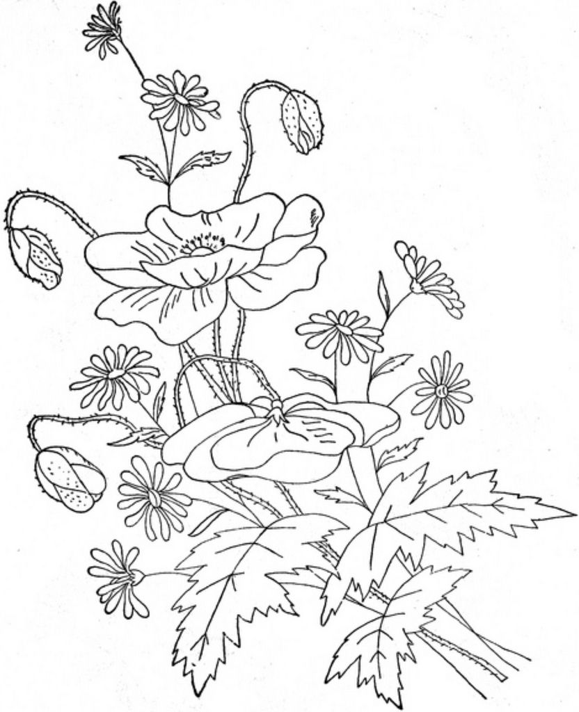 832x1024 1888 Ingalls Poppy Daisy Spray Embroidery, Patterns