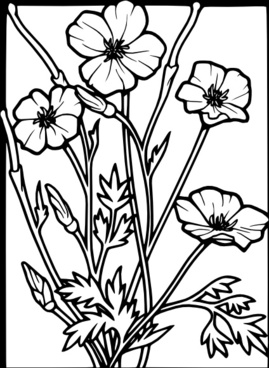 269x368 Poppy Free Vector Download (48 Free Vector) For Commercial Use