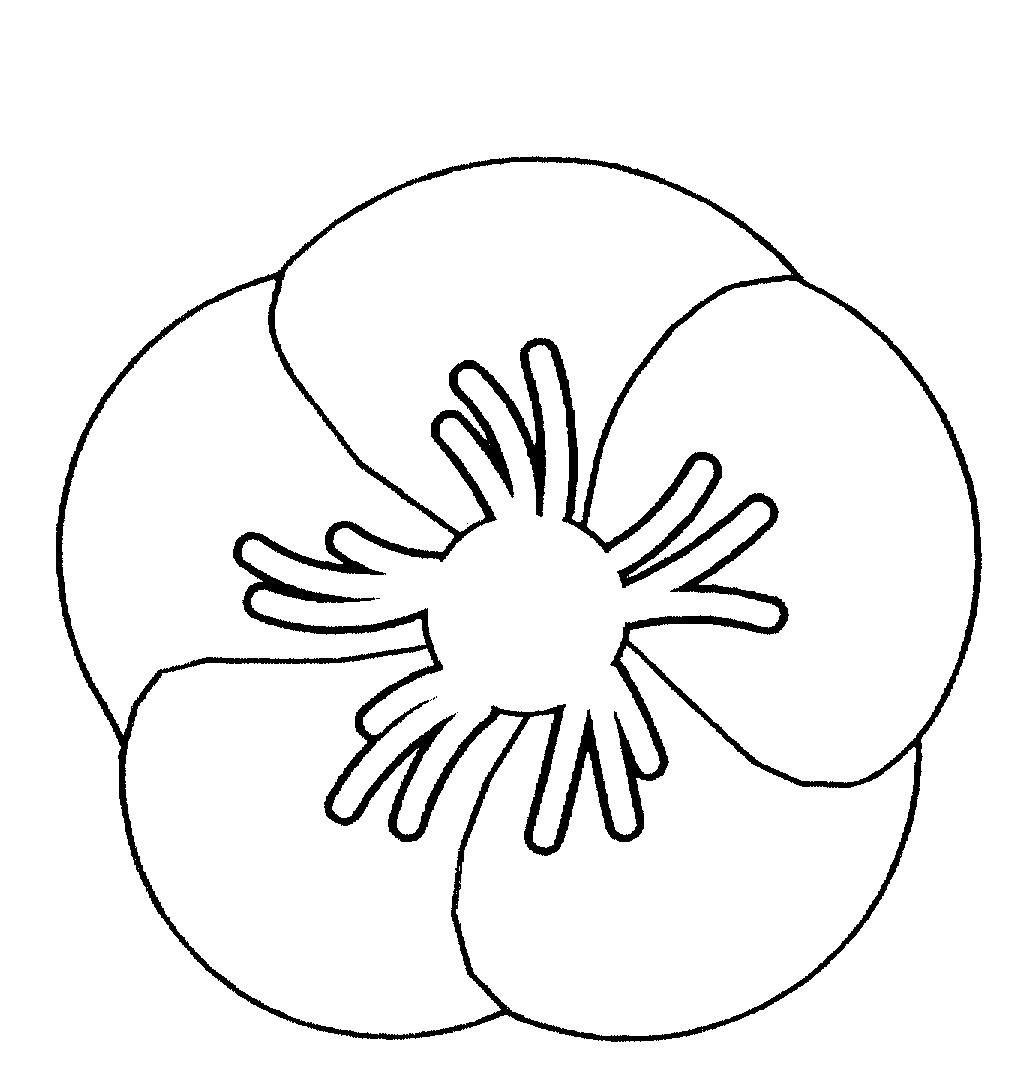 1024x1074 Black And White Poppy Clip Art