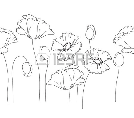 450x394 Poppy Line Stock Photos Amp Pictures. Royalty Free Poppy Line Images
