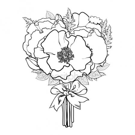 450x450 Poppy Flowers, Bud, Leaves Floral Square Frame Isolated On White