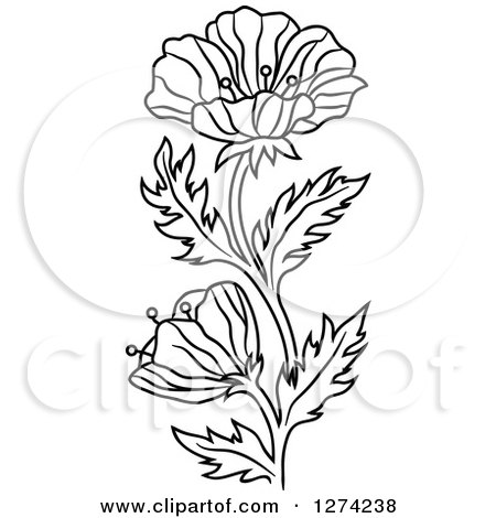 450x470 Clipart Of A Black And White Poppy Flower