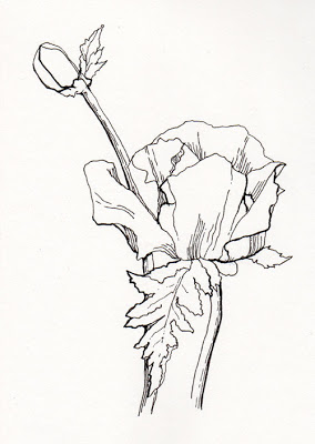 284x400 Pen, Pencil, Contour Drawing