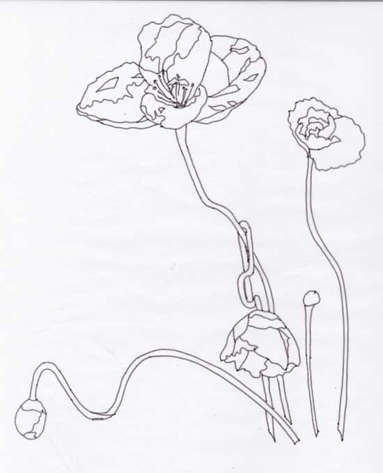 550x678 Poppy Embroideries West Zen Studio