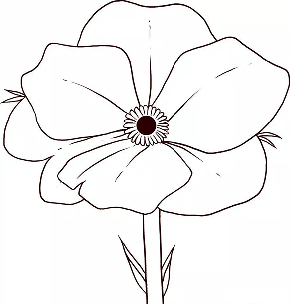 Poppy Outline Drawing at GetDrawings | Free download