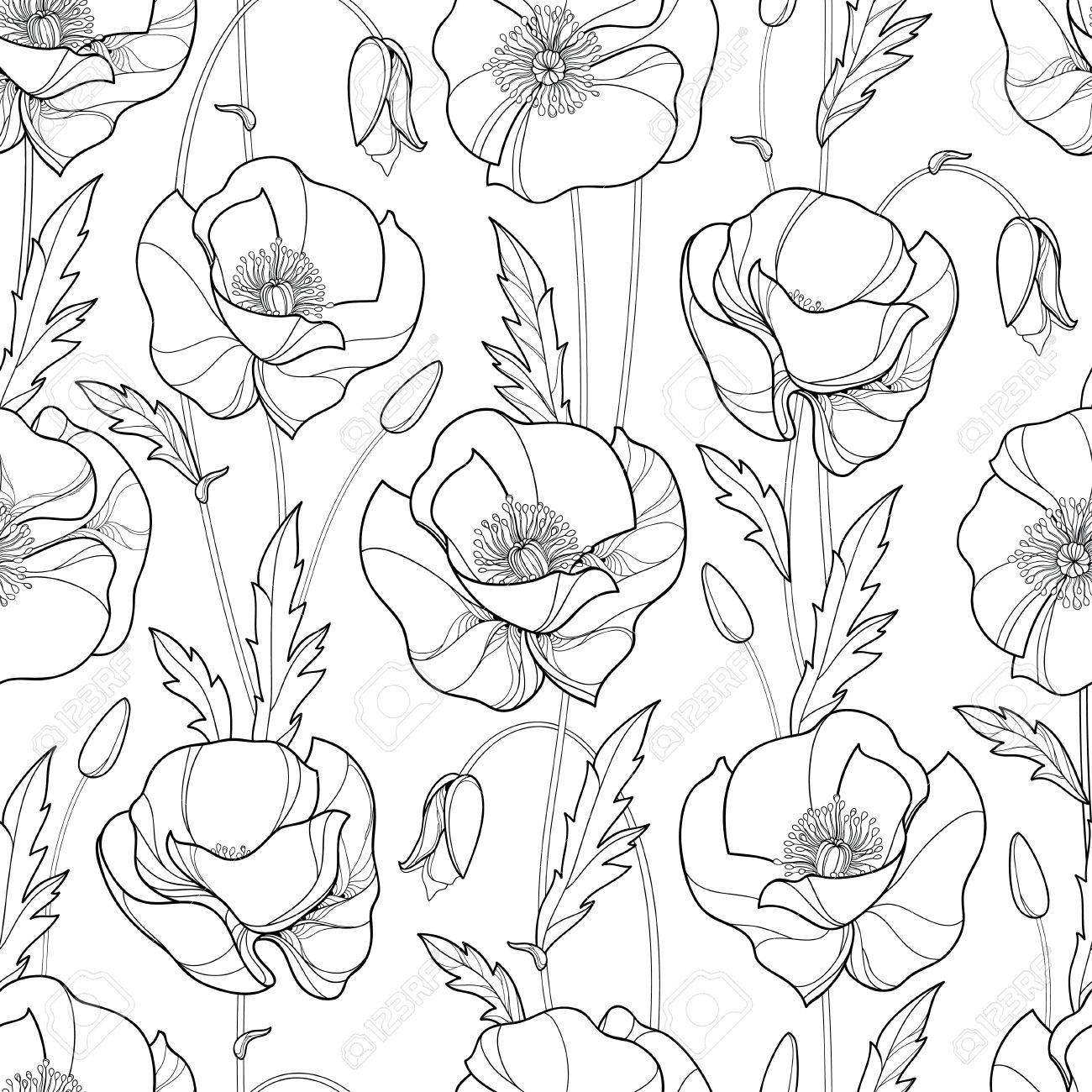 1300x1300 Seamless Pattern With Outline Poppy Flower, Bud And Leaves