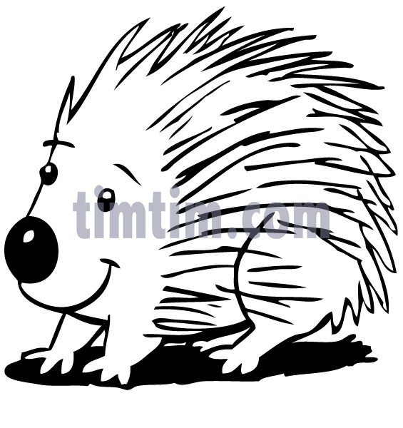 565x600 Free Drawing Of Porcupine Bw From The Category Wild Animals