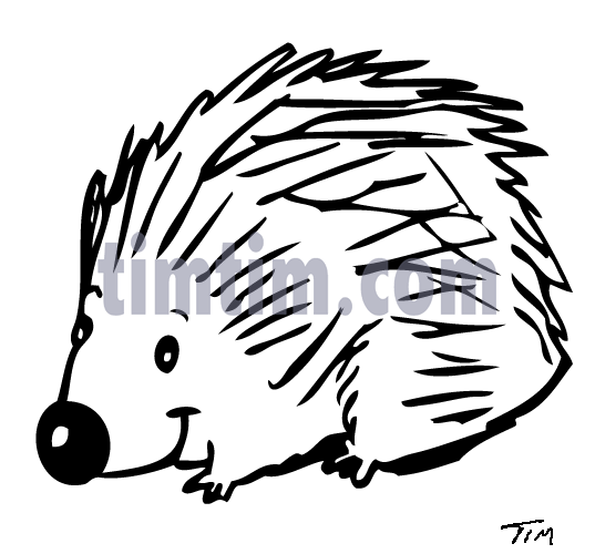 537x500 Free Drawing Of Porcupine Bw2 From The Category Wild Animals
