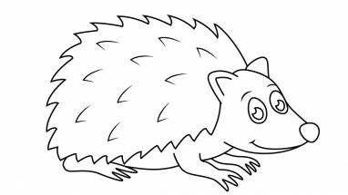 382x215 How To Draw Hedgehog Joe, Forest Friends, Animals, Easy Step By