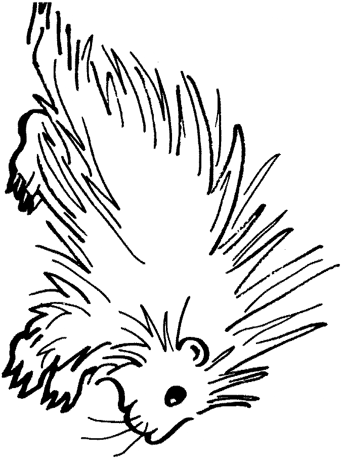 676x906 Porcupine Coloring Page