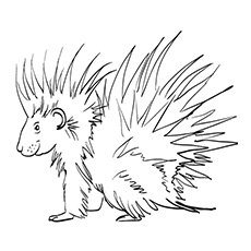 230x230 Top 10 Free Printable Porcupine Coloring Pages Online