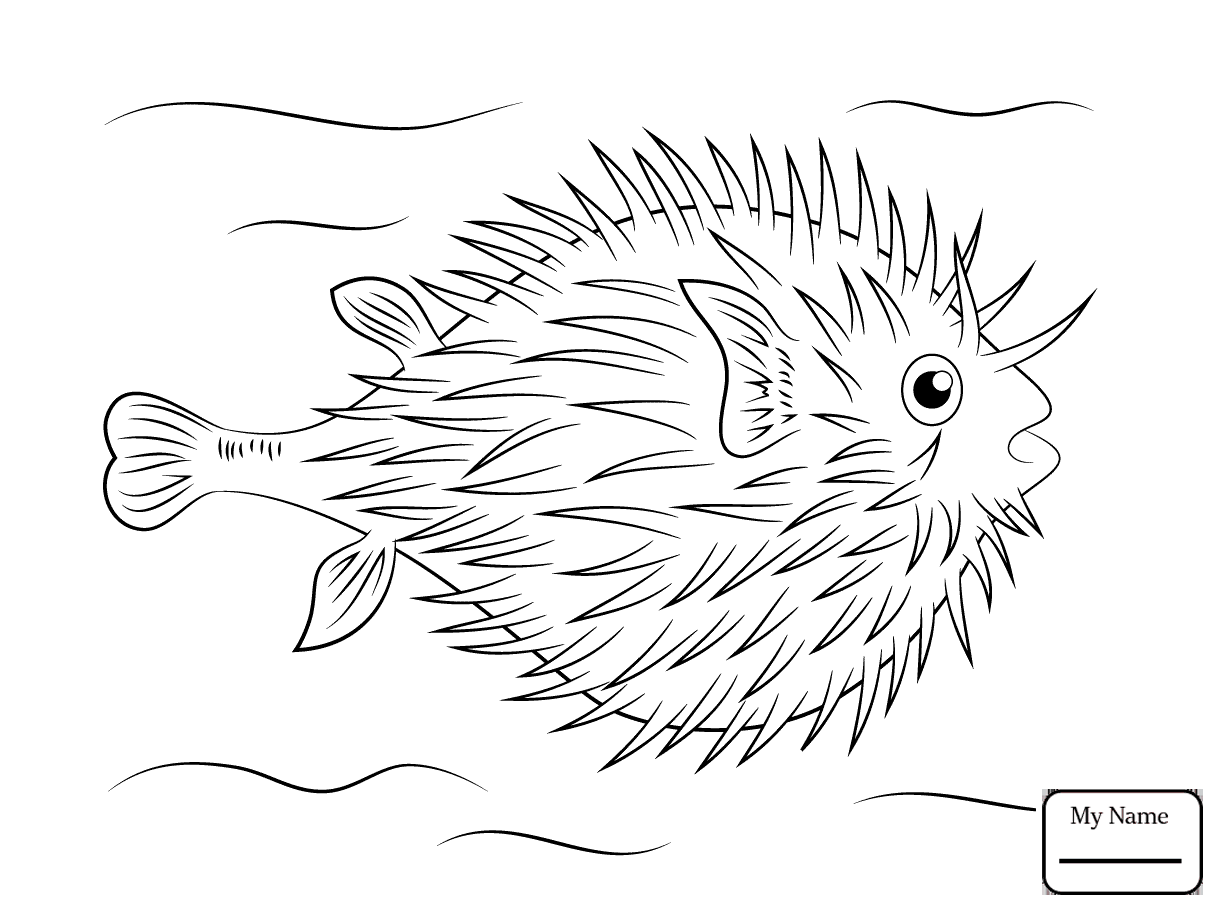 1223x912 Coloring Pages Puffer Fish Fish Porcupine Fish