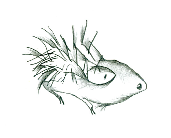 600x484 Drawing Animals